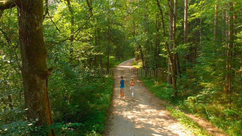 AERIAL: Flying behind unrecognizable fit couple jogging down the forest trail. royalty free stock photo