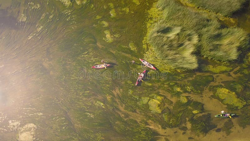 AERIAL: Flying over a group of tourists stuck in the swamp with their kayaks. royalty free stock photography