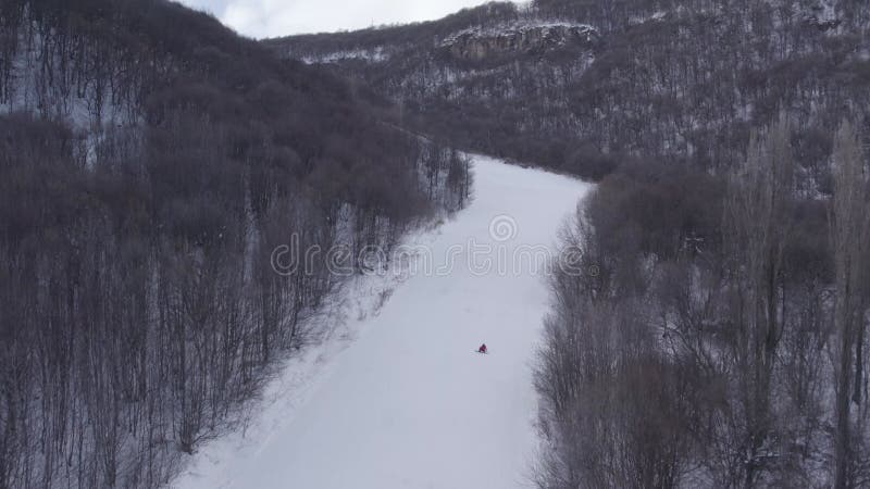 Aerial footage of the skiers skiing on the slopes through dense leafless woods on a snowy mountain stock footage