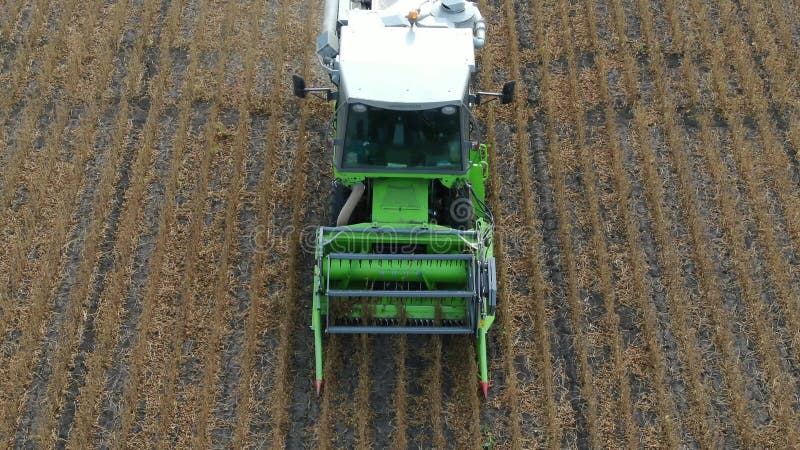 Aerial. The harvester removes soybeans. Quadrocopter. Shooting from the air