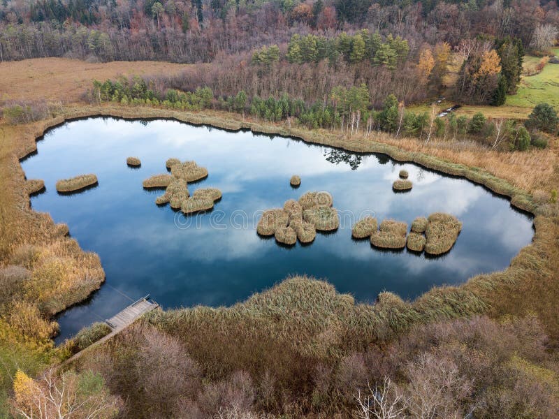 Aerial image of a pond with floating turf mats royalty free stock images