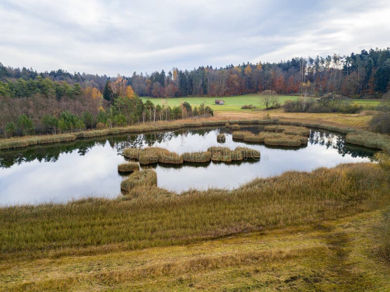 Aerial image of a pond with floating turf mats stock images