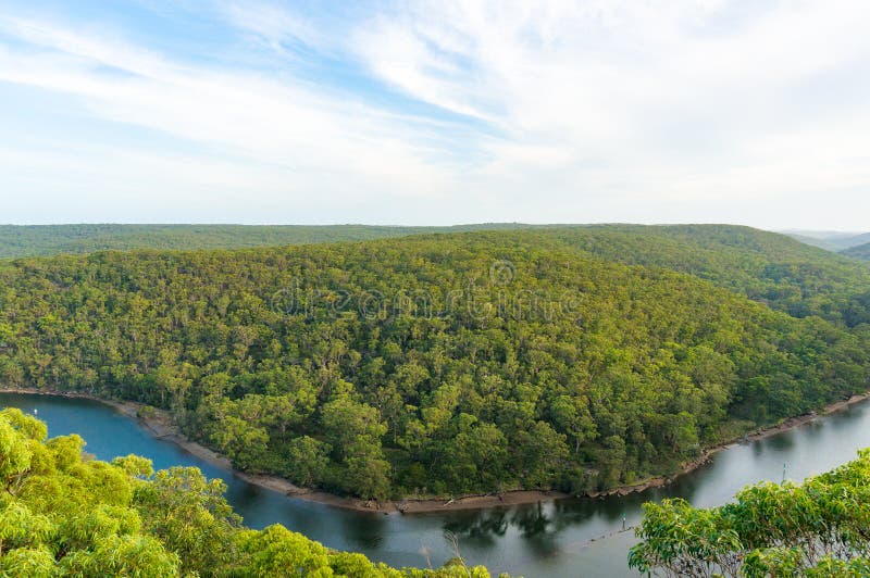 Aerial landscape of forest and river