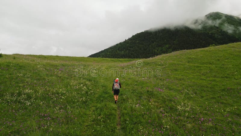 Aerial of male backpacker climbing alpine meadow with flowers, misty mountains. Man hiking on trail, exploring nature stock video