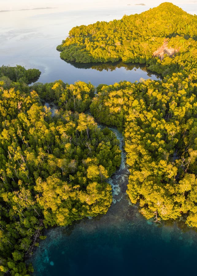 Aerial of Narrow Mangrove Channel in Raja Ampat