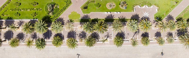 Aerial overhead view of city promenade. Summer, sunset.