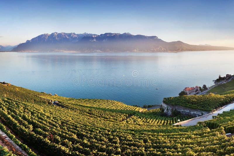 Aerial panoramic view of the city of Vevey at Lake Geneva with vineyards of famous Lavaux wine region on a beautiful sunny day. royalty free stock images Aerial panoramic view of the city of Vevey at Lake Geneva with vineyards of famous Lavaux wine region on a beautiful sunny day. royalty free stock images