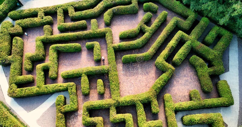 Skills maze hi-res stock photography and images - Alamy