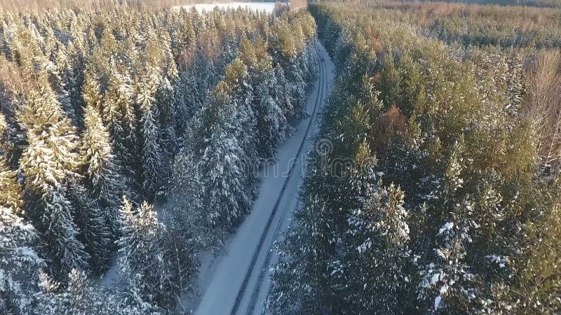 Aerial photo of winter road in the woods