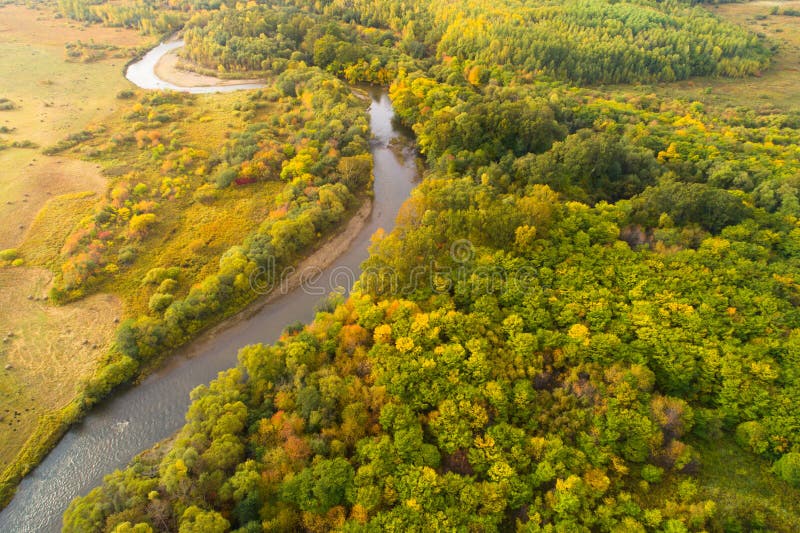 Colorful autumn forest and small river landscape