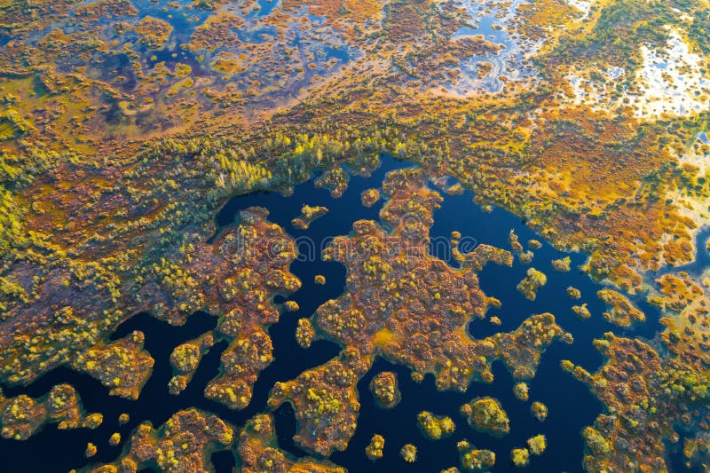 aerial-shot-yelnya-swamp-belarus-bird-s-