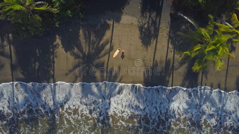 AERIAL, TOP DOWN: Lonely surfer sitting on sandy beach, looking into the horizon royalty free stock image