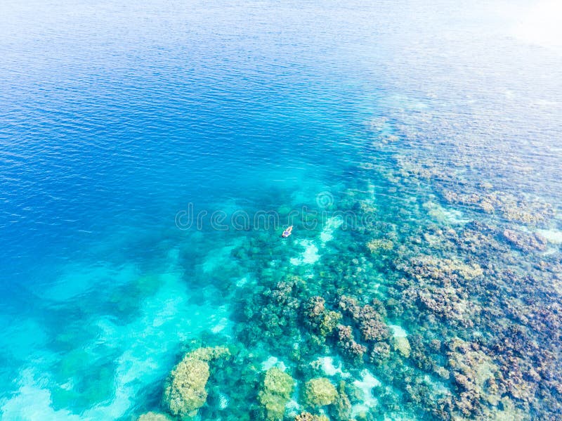 Aerial top down people snorkeling on coral reef tropical caribbean sea, turquoise blue water. Indonesia Wakatobi archipelago, royalty free stock photos Aerial top down people snorkeling on coral reef tropical caribbean sea, turquoise blue water. Indonesia Wakatobi archipelago, royalty free stock photos