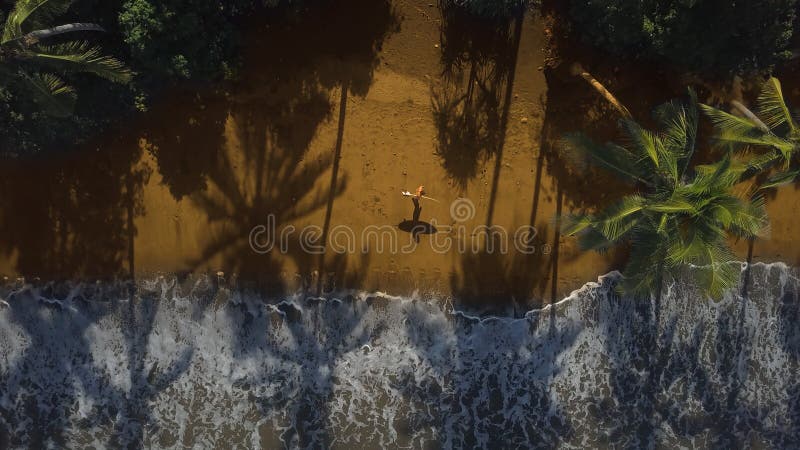 AERIAL, TOP DOWN: Sportsman walking home after a day of surfing fun ocean waves. stock images