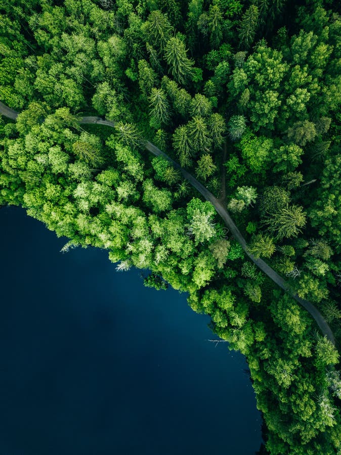 Aerial top view of country road in green summer forest and blue lake. Rural landscape in Finland
