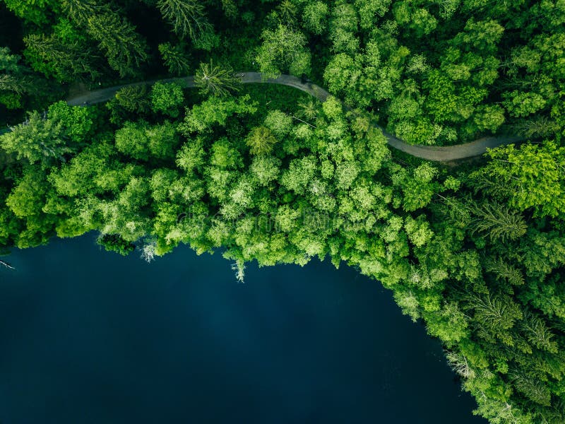 Aerial top view of country road in green summer forest and blue lake. Rural landscape in Finland