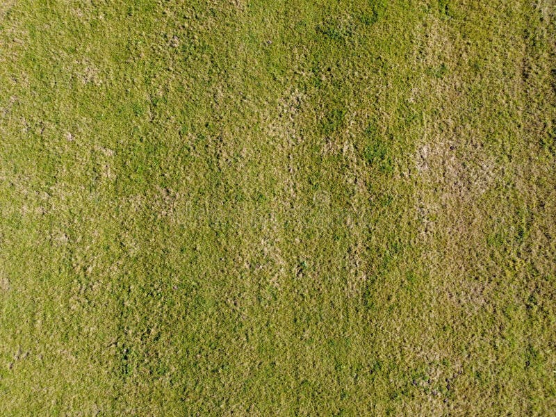 Aerial Top View of Grassland Stock Photo - Image of aerial, view: 204025240