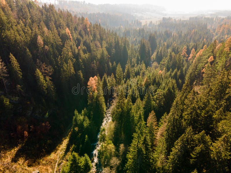 Letecký pohľad zhora na zelené stromy v lese na Slovensku. Fotografovanie dronom. Ekosystém dažďového pralesa a koncept zdravého životného prostredia.