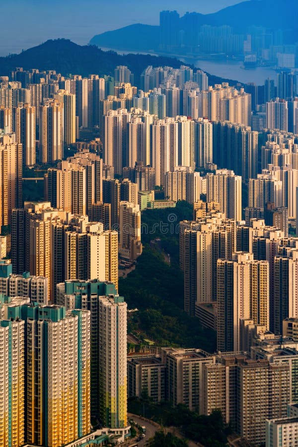 Aerial top view of Hong Kong Downtown, republic of china. Financial district and business centers in smart urban city in Asia.