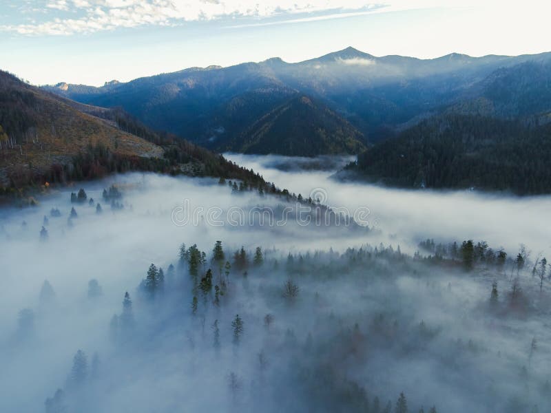 Letecký pohled shora na mlhavé lesní stromy v lese na Slovensku. Fotografování dronem. Ekosystém deštného pralesa a zdravé životní prostředí konc