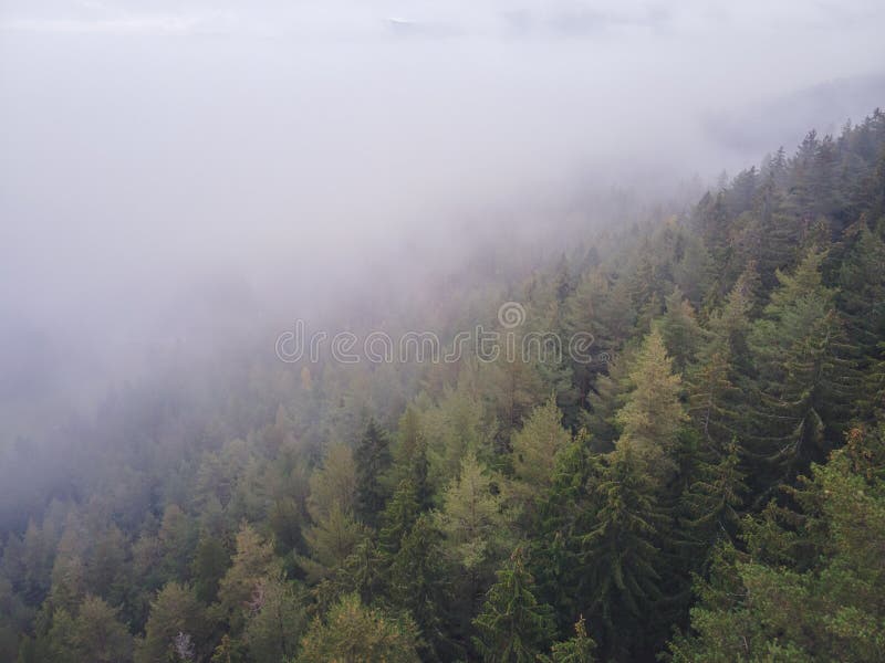 Aerial top view of misty forest trees in forest in Slovakia. Drone photography. Rainforest ecosystem and healthy environment conce