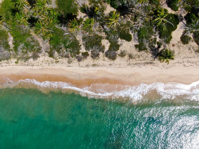 Aerial top view of tropical white sand beach and turquoise clear sea water with small waves and palm trees background.