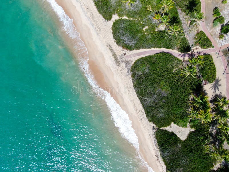 Aerial top view of tropical white sand beach and turquoise clear sea water with small waves and palm trees background.
