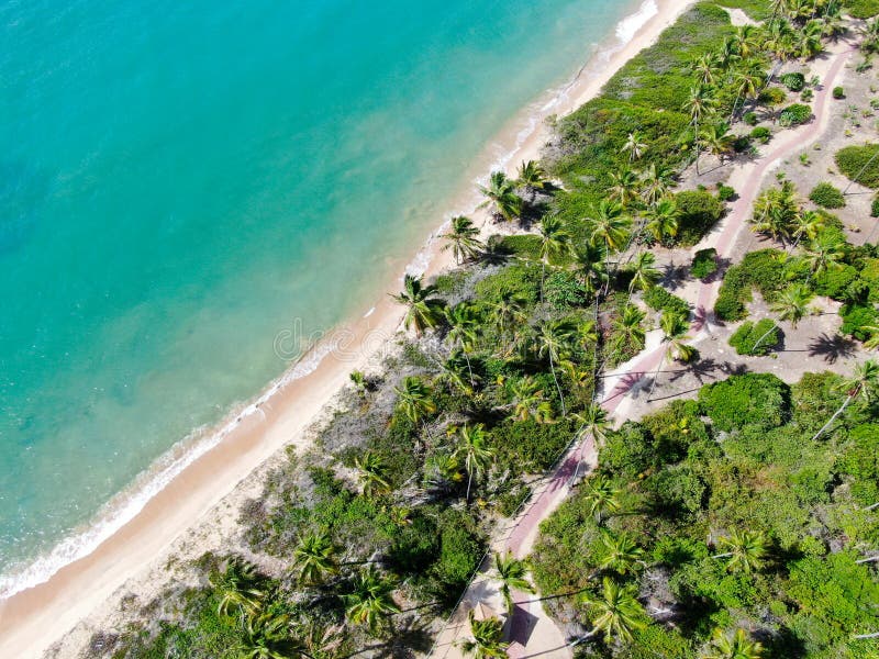 Aerial top view of tropical white sand beach and turquoise clear sea water with small waves and palm trees background.