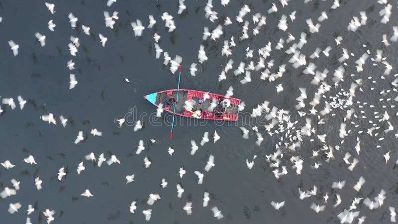 Aerial video of people feeding birds on a fishing boat along the Yamuna river in New Delhi, India.