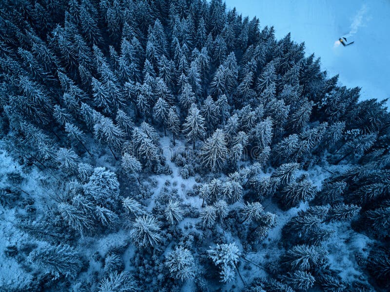 Aerial view from above of winter forest covered with snow. Fir tree forest top view. Lonely hermit house with warm stock photo Aerial view from above of winter forest covered with snow. Fir tree forest top view. Lonely hermit house with warm stock photo