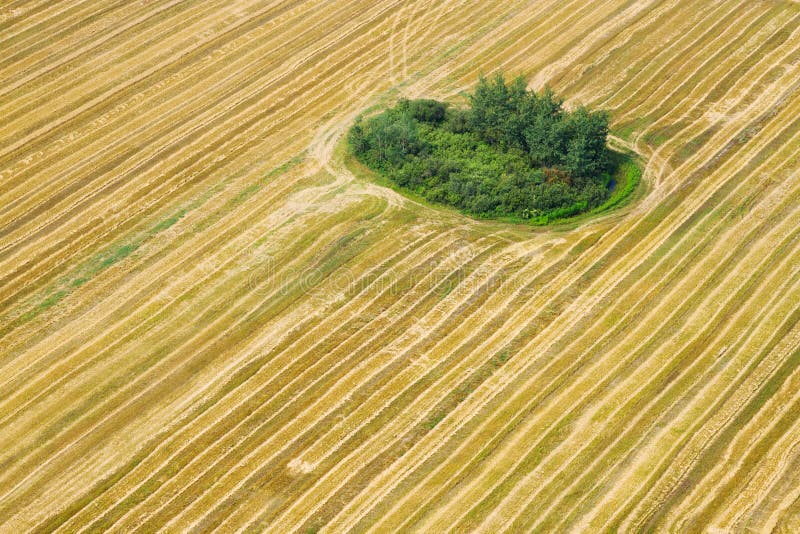 Aerial view of agricultural field royalty free stock photos