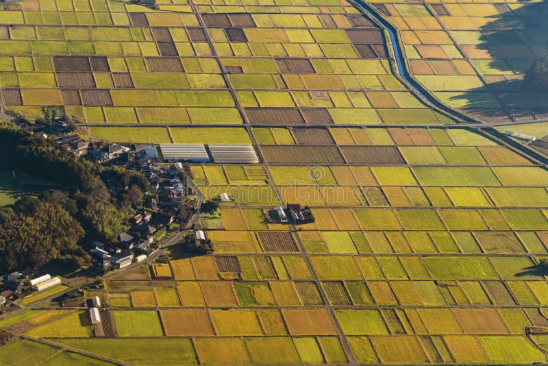 Aerial View of agricultural fields in countryside of Japan in sp