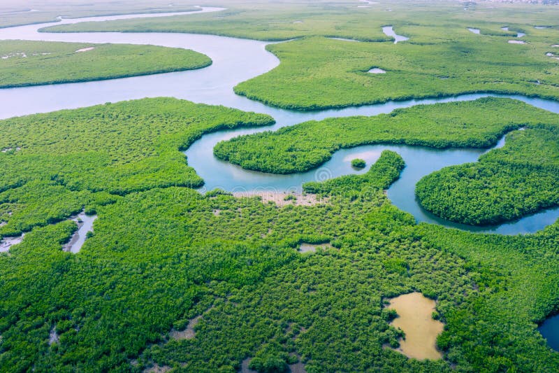 Aerial view of Amazon rainforest in Brazil, South America. Green forest. Bird`s-eye view.