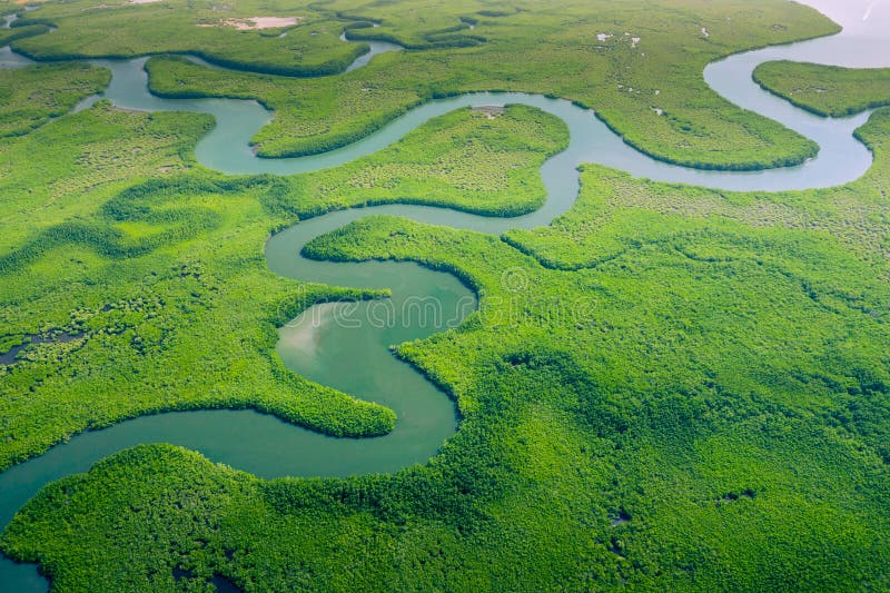 Aerial view of Amazon rainforest in Brazil, South America. Green forest. Bird`s-eye view