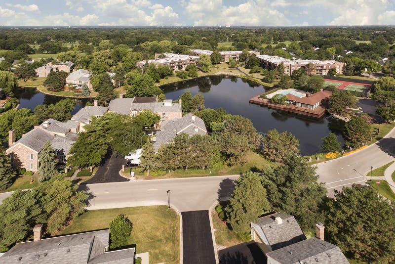 Aerial View of Ancient Tree in Northbrook, IL Stock Photo Image of