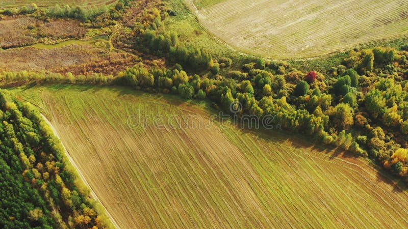 Aerial View Autumn Empty Field With Windbreaks Landscape. Top View Of Clean Field. Drone View Bird&x27;s Eye View. A