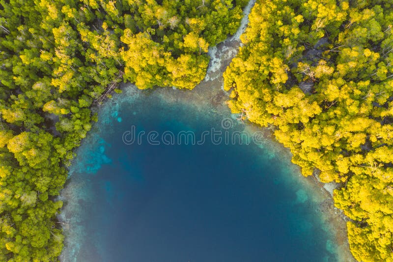 Aerial View of Beautiful Bay in Raja Ampat