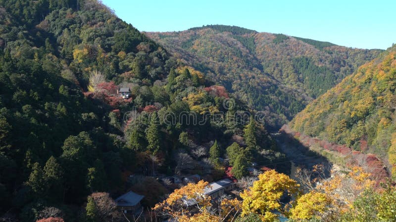 Aerial view of beautiful fall color at Arashiyama