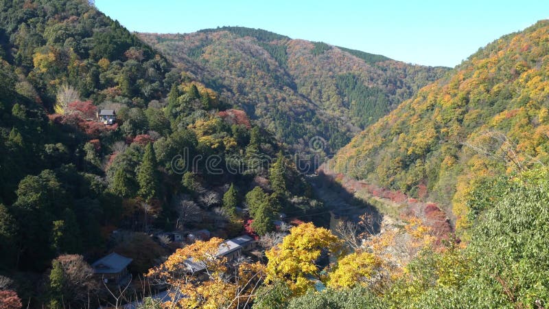 Aerial view of beautiful fall color at Arashiyama