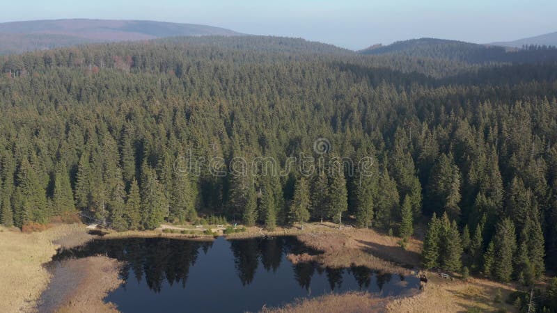 Black lake and marshes, forest in background on Pohorje mountain, Slovenia