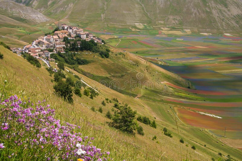 Aerial view of Castelluccio di Norcia with flowers