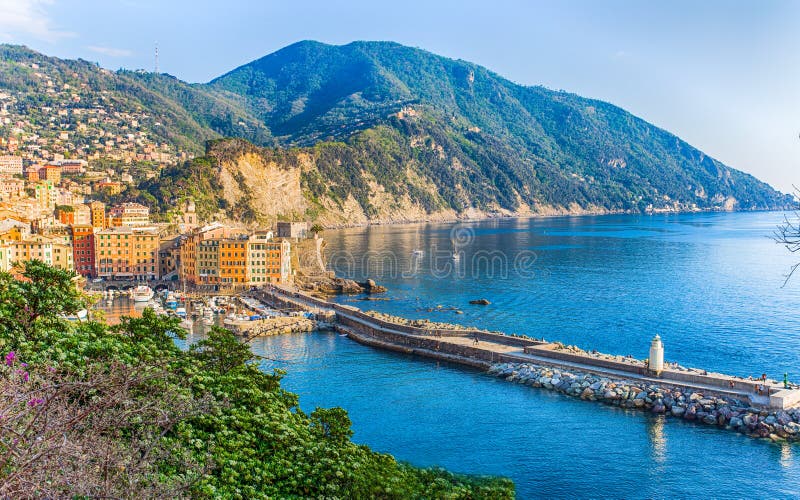 Aerial view of city of Camogli , Genoa Province, Liguria, Mediterranean coast, Italy