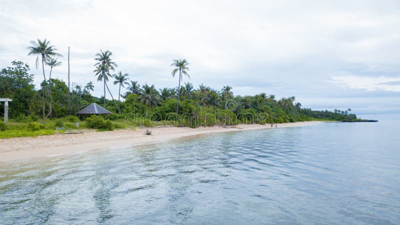 Aerial view of clean beach and many coconut tree with nice sky and blue ocean