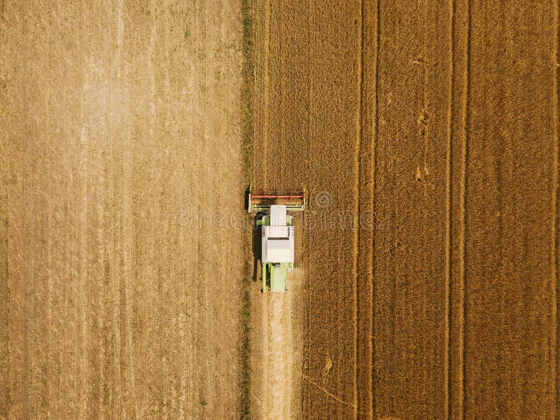 Aerial view of combine harvester harevsting wheat royalty free stock photo