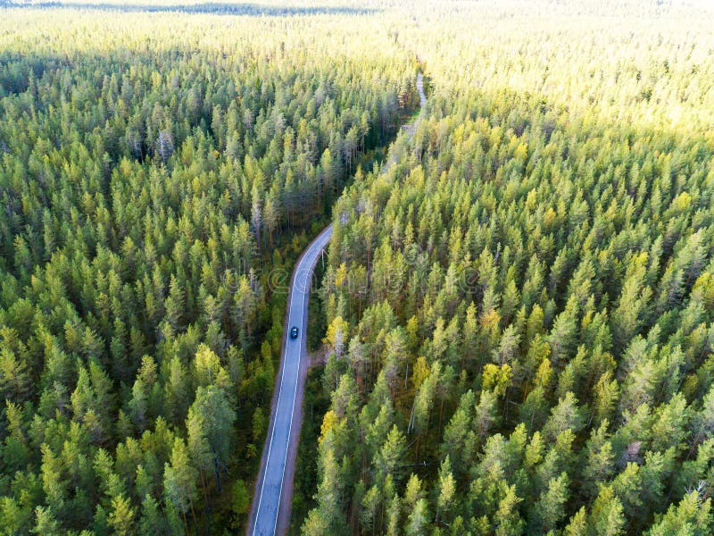 Aerial view of a country road in the forest with moving cars. Beautiful landscape. Captured from above with a drone. Aerial bird`s