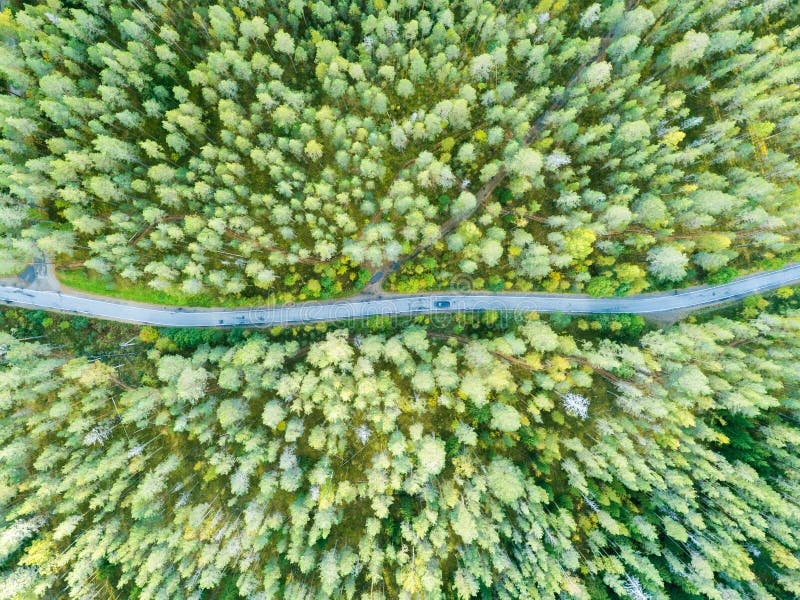 Aerial view of a country road in the forest with moving cars. Beautiful landscape. Captured from above with a drone. Aerial bird`s