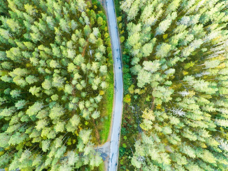 Aerial view of a country road in the forest with moving cars. Beautiful landscape. Captured from above with a drone. Aerial bird`