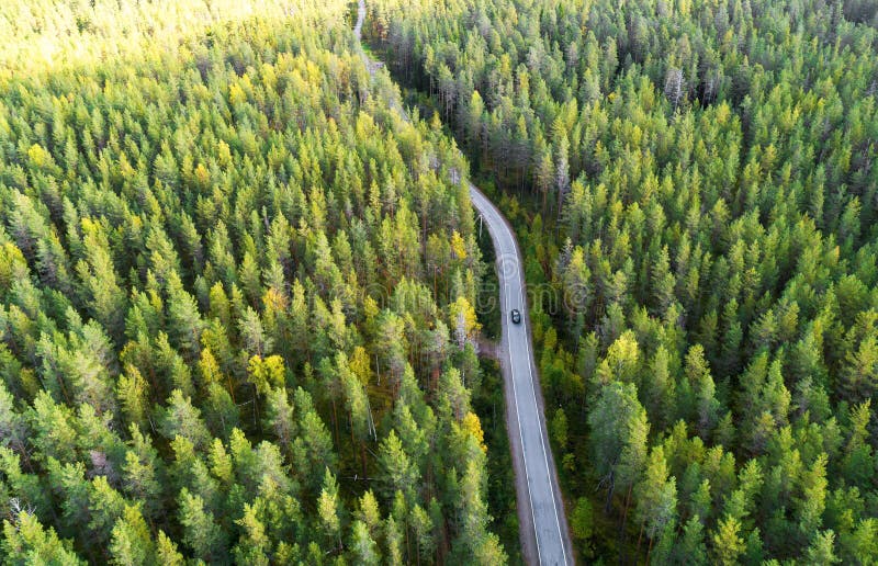 Aerial view of a country road in the forest with moving cars. Beautiful landscape. Captured from above with a drone. Aerial bird`