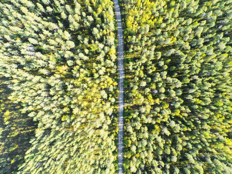 Aerial view of a country road in the forest with moving cars. Landscape. Captured from above with a drone. Aerial bird`s eye road