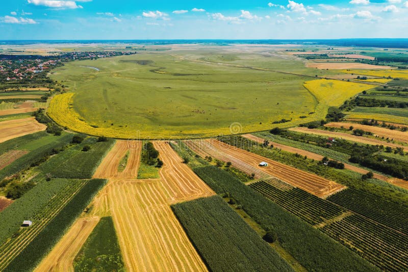 Vojvodina, Serbia  Satellite Imagery and Art - Satellite Art Institute